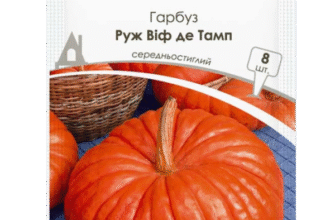 Оптимальний обсяг насіння гарбуза для засіву 1 гектару поля