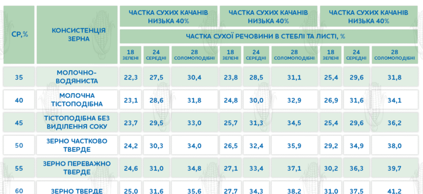Оптимальний обсяг посіву кукурудзи: скільки потрібно на 1 га?