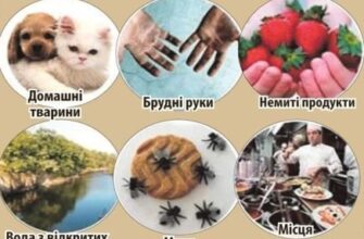 Основні джерела зараження глистами: як уникнути паразитів?