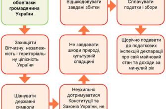 Основні обов’язки громадянина: що їх визначає та формує в Україні