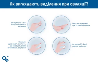 Овуляція: симптоми і ознаки, які супроводжують цей процес