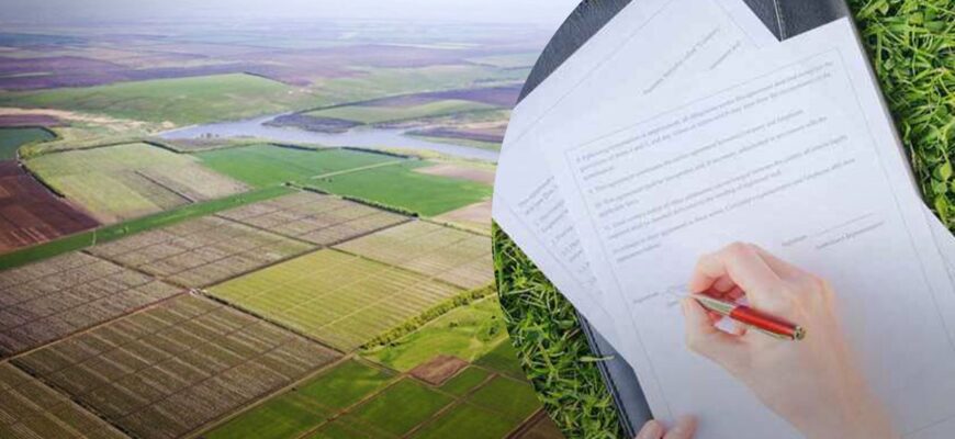 Переоформлення земельного паю після смерті: кроки та поради спадкоємцям