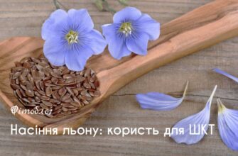 Переваги льону для шлунку: покращення травлення та здоров’я кишечника