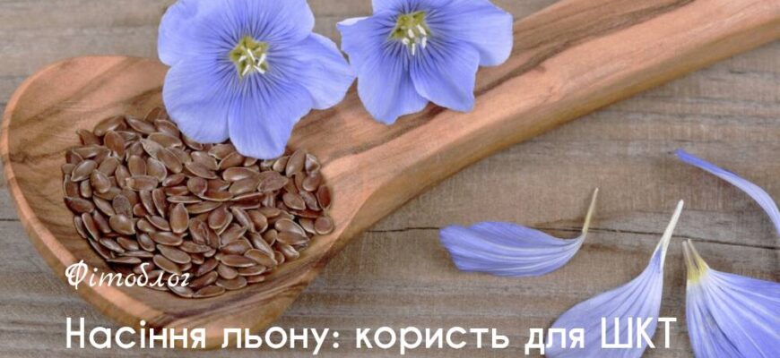 Переваги льону для шлунку: покращення травлення та здоров’я кишечника