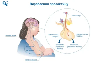 Підвищений пролактин: можливі наслідки для здоров’я та профілактика