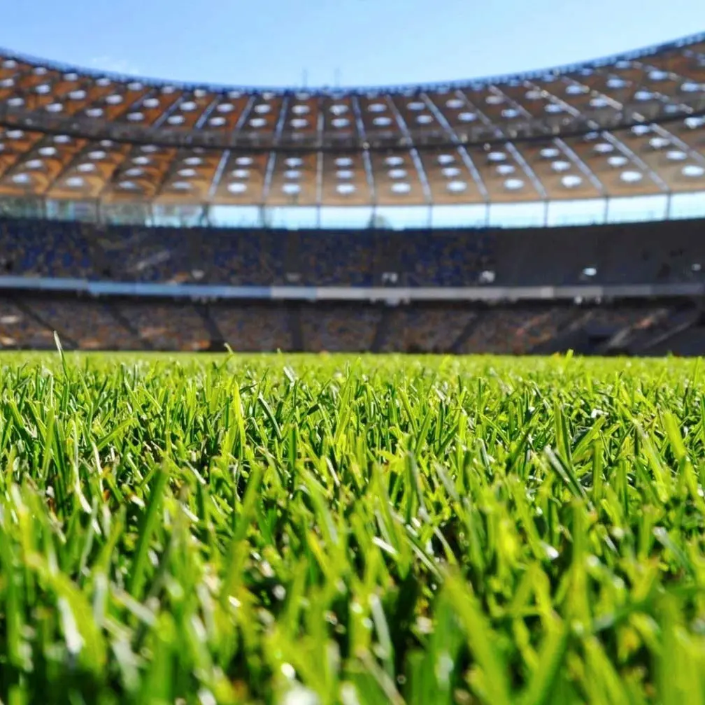 Чим можна підживити газон навесні, влітку та восени?