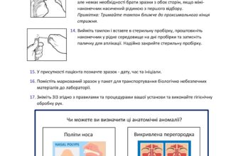 Поради та кроки підготовки до зачаття: що потрібно знати заздалегідь