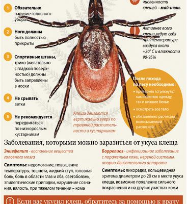 Профілактика після укусу кліща: ефективні методи захисту здоров’я