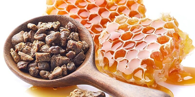Прополіс: основні корисні властивості та користь для вашого здоров’я