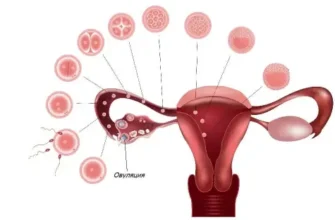Причини повторних місячних через 2 тижні: що означає та як діяти