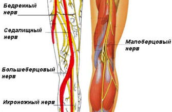Причини та лікування болю в литці ноги: основні рекомендації