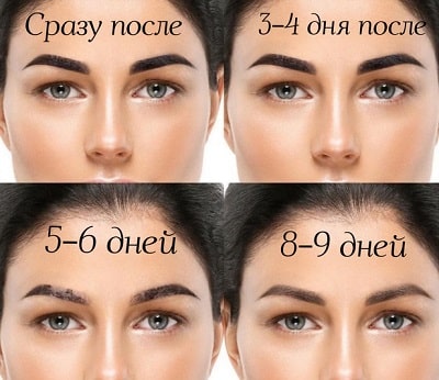 Як гояться пудрові брови: детальний опис етапів по днях з фото ...