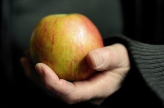 Раціон після операції на кишечнику: що можна їсти безпечно і корисно