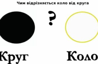 Різниця між кругом та колом: що потрібно знати для точності понять