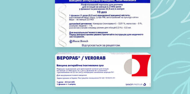 Що категорично заборонено робити після вакцинації від сказу: поради лікарів