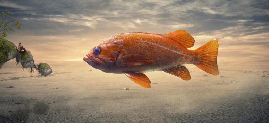 Що означає, коли сниться нежива риба: тлумачення сну та значення