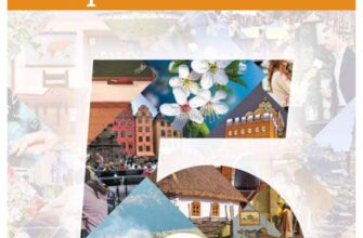 Що означає сон про дерево горіх: детальний аналіз та тлумачення