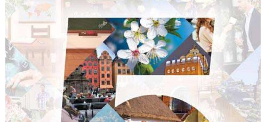 Що означає сон про дерево горіх: детальний аналіз та тлумачення