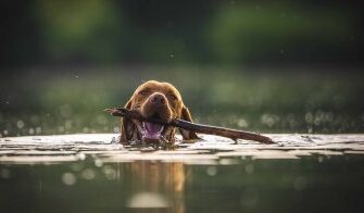 Що означає сон про маленьку дитину з четверга на п’ятницю?