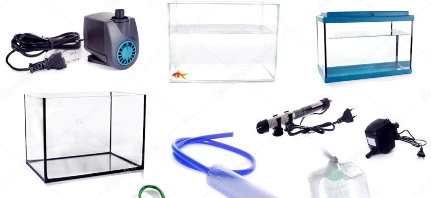 Що потрібно для акваріума: повний список важливих аксесуарів і порад