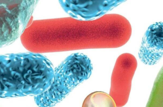 Що пити після антибіотиків: ефективні напої для відновлення організму