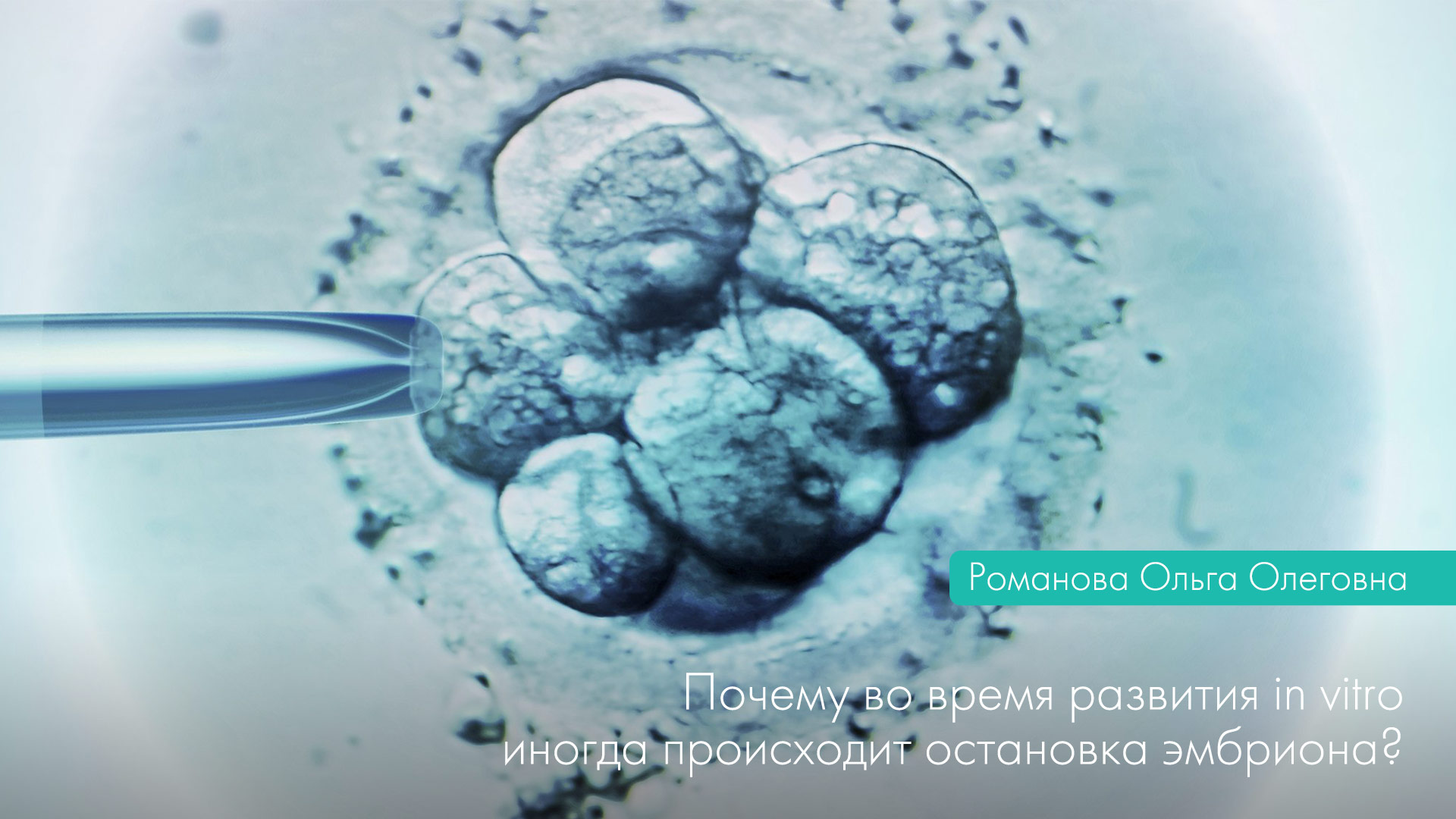 Зупинка ембріона під час розвитку in vitro — Клініка ...
