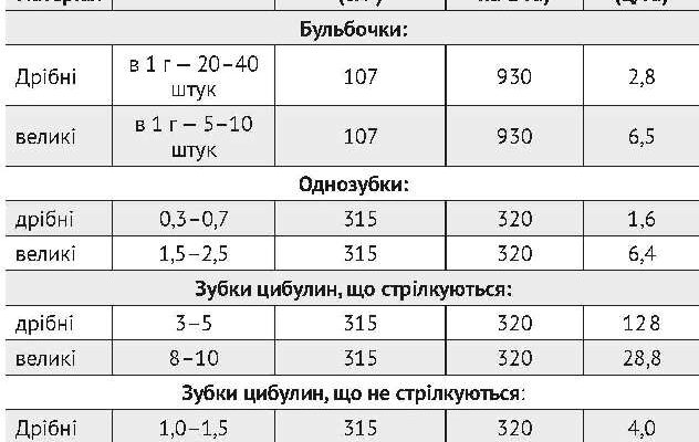 Скільки часнику потрібно висадити на 1 га для оптимального врожаю?