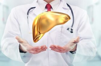 Скільки часу потрібно, щоб повністю відновити функції печінки?