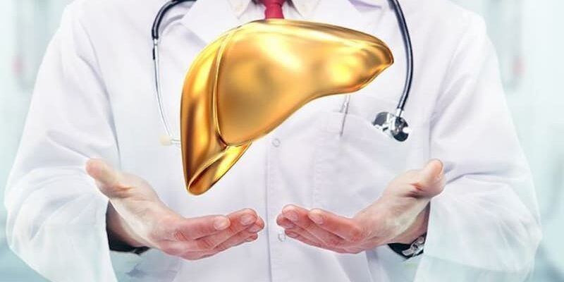 Скільки часу потрібно, щоб повністю відновити функції печінки?