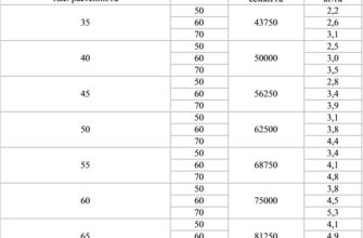 Скільки насіння соняшника потрібно для посіву 1 га: точні розрахунки