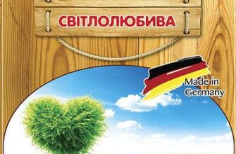Скільки насіння трави потрібно на 1 сотку для ідеального газону?