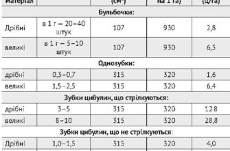 Скільки садити часнику на 1 сотку: поради та норми висадки
