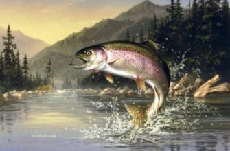 Сон про рибу для чоловіка: до чого сниться і що означає?