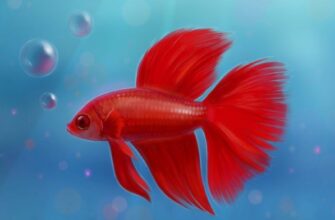 Сон про рибу: що означає, коли жінці сниться риба і як тлумачити?