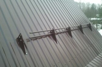 Сонник: До чого сниться лисиця, що пробує вкусити – тлумачення снів