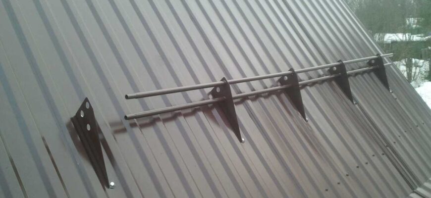 Сонник: До чого сниться лисиця, що пробує вкусити – тлумачення снів