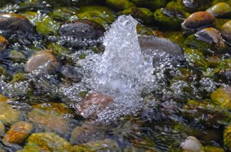 Сонник: Набирати воду з колодязя – значення та тлумачення сну