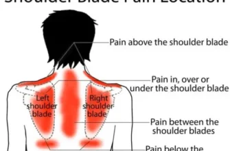Тупий біль під правою лопаткою: причини, симптоми та лікування
