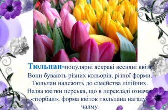 Твір-есе: за що люблю перші весняні квіти та їх чарівність