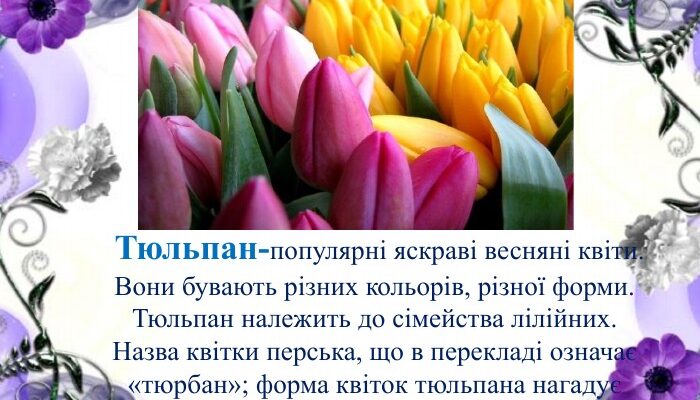 Твір-есе: за що люблю перші весняні квіти та їх чарівність