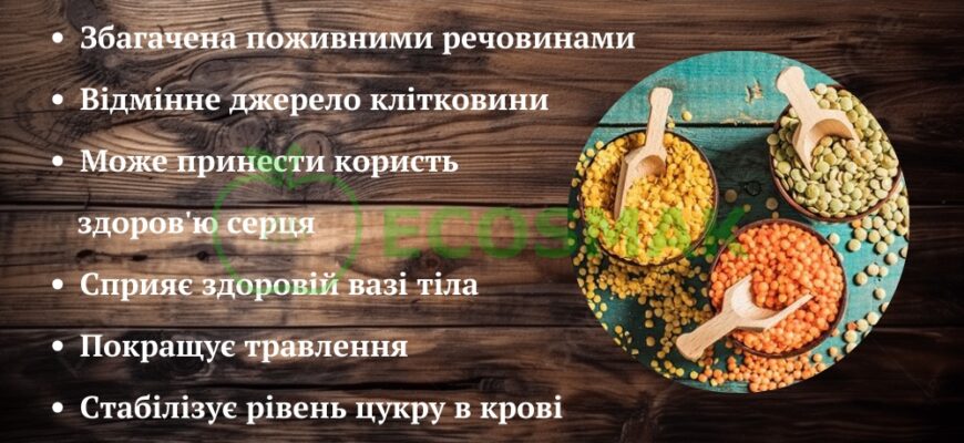 Унікальні переваги сочевиці: користь для здоров’я та харчування