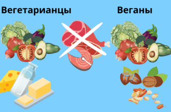 Веган чи вегетаріанець: ключові відмінності у виборі харчування