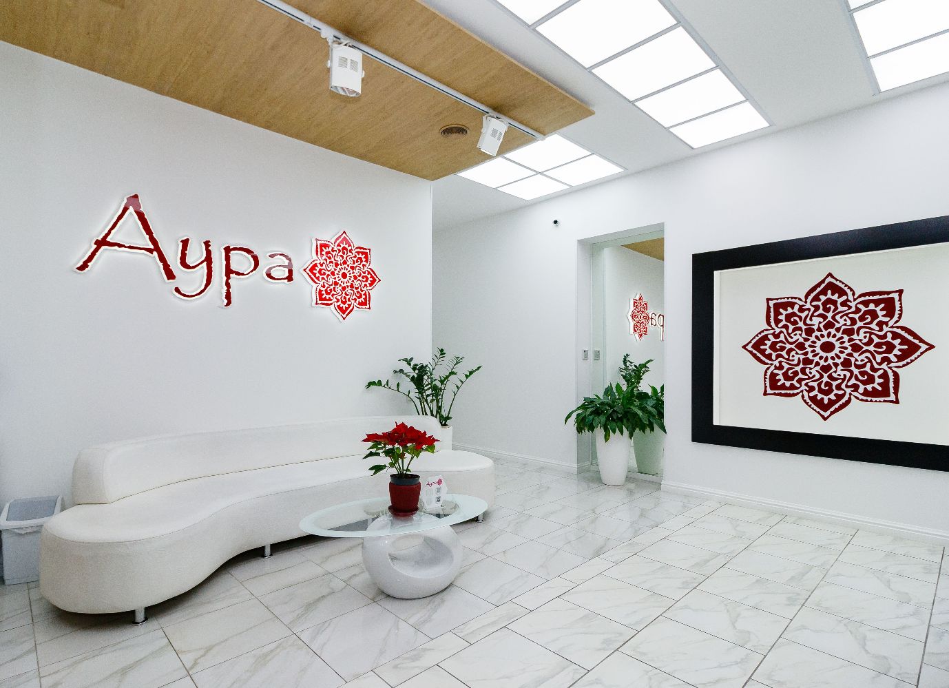 Конізація шийки матки в Києві ❤️ Ціни та відгуки на видалення ...