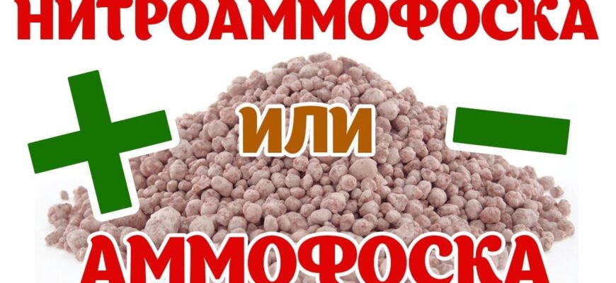 Відмінності між амофоскою та нітроамофоскою: детальний аналіз добрив