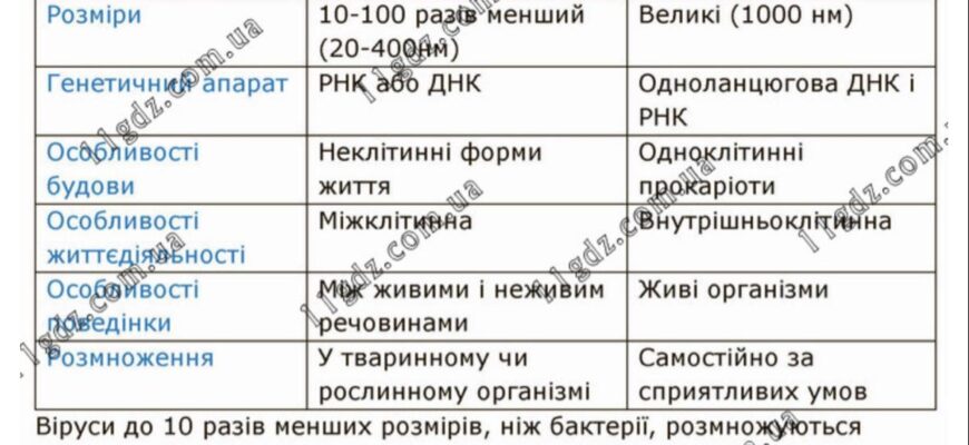 Відмінності між бактеріями та вірусами: ключові відмінності та нюанси