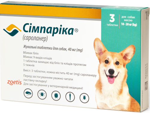 Кліщ у собаки: що робити при укусі