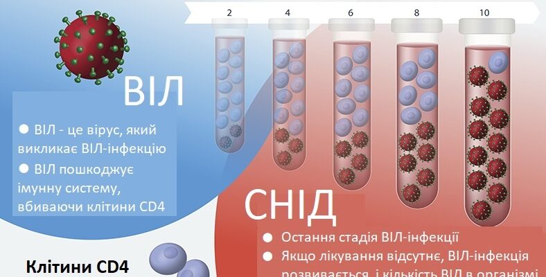 ВІЛ та СНІД: Основні відмінності та особливості захворювань ВІЛ та СНІД: Основні відмінності та особливості захворювань