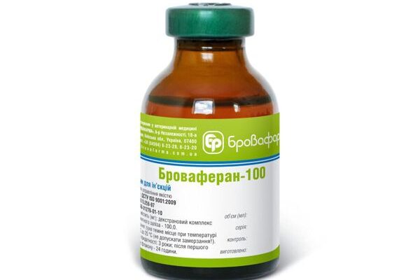 Вітаміни для корови після отелення: оптимальне відновлення здоров’я