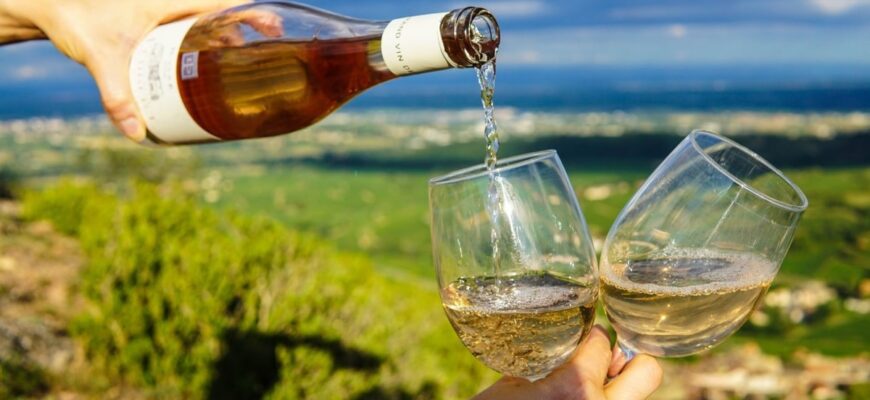 Вино: Користь та Вплив на Здоров’я Людини – Що Важливо Знати