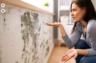 Як ефективно позбутися цвілі на стінах: найдієвіші методи та засоби